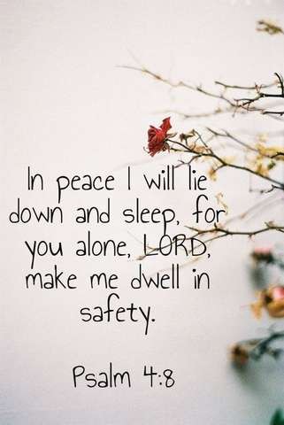 In peace I will lie down and sleep, for you alone, LORD, make me dwell in safety. Psalm 4:8

rose branches coming in from the right side with a single red rose just above the text.