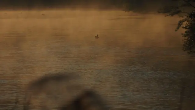 Fluss im frühe Morgenlicht. Dunst steigt auf.