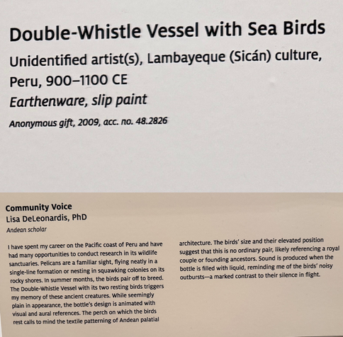 photo of gallery labels “Double-Whistle Vessel with Sea Birds Unidentified artist(s), Lambayeque (Sican) culture, Peru, 900-1100 CE Earthenware, slip paint Anonymous gift, 2009, асс. по. 48.2826” “Community Voice Lisa DeLeonardis, PhD Andean scholar I have spent my career on the Pacific coast of Peru and have had many opportunities to conduct research in its wildlife sanctuaries. Pelicans are a familiar sight, flying neatly in a single-line formation or nesting in squawking colonies on its rocky shores. In summer months, the birds pair off to breed. The Double-Whistle Vessel with its two resting birds triggers my memory of these ancient creatures. While seemingly plain in appearance, the bottle's design is animated with visual and aural references. The perch on which the birds rest calls to mind the textile patterning of Andean palatial architecture. The birds' size and their elevated position suggest that this is no ordinary pair, likely referencing a royal couple or founding ancestors. Sound is produced when the bottle is filled with liquid, reminding me of the birds' noisy outbursts-a marked contrast to their silence in flight.”