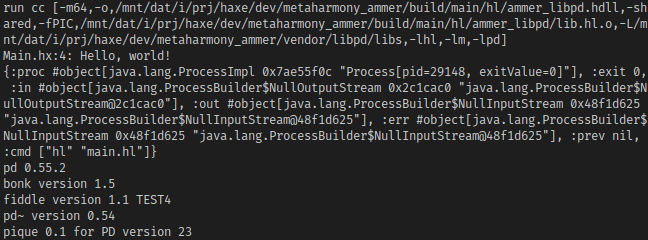 terminal printout of build details