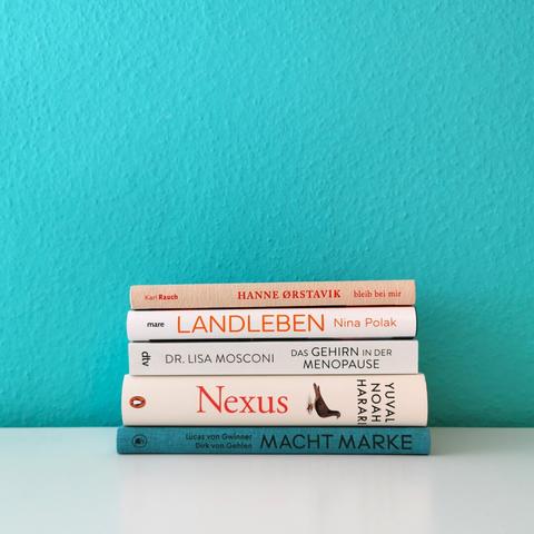 Auf dem Foto ist ein Bücherstapel mit fünf Büchern, der auf einer weißen Fläche vor einer türkisen Wand liegt, abgebildet. Die Bücher werden in der Caption aufgelistet.