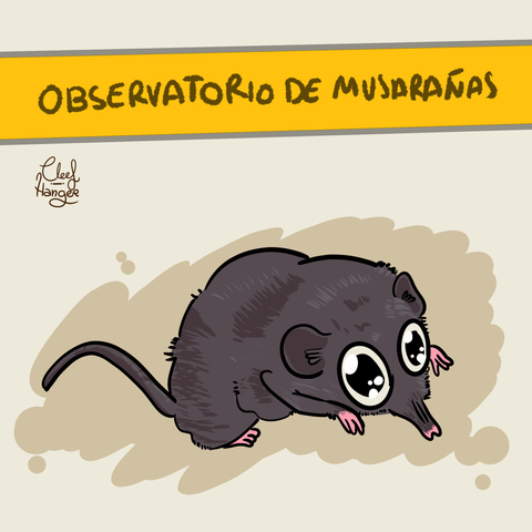 Una musaraña chiquitita y monisima con ojos enormes observandote por que está en el observatorio de musarañas.