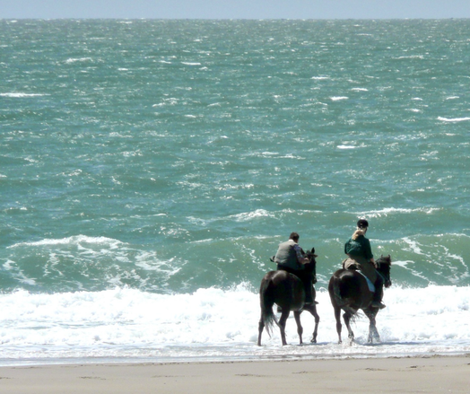 zwei Reiter reiten am Meeresstrand entlang