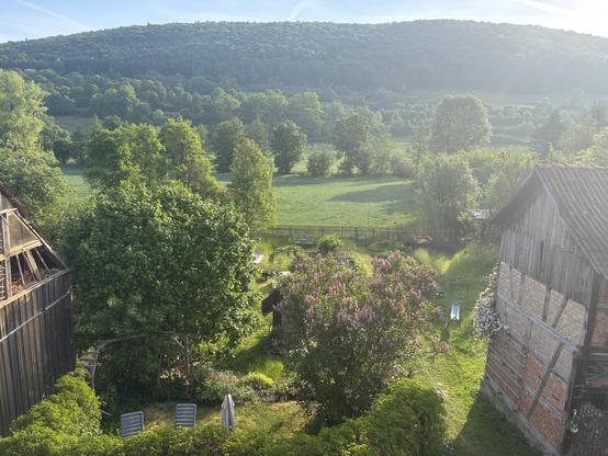 Blick auf Garten und Wald im Frühling