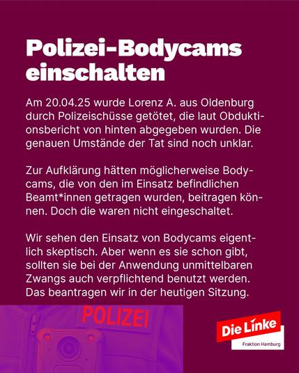 Grafik der Fraktion Die Linke Hamburg mit dem Hamburger Rathaus. Überschrift: ‚Heute in der Bürgerschaft – Welche Themen uns diesmal wichtig sind‘. Aufzählung: ‚Regierungserklärung: Druck auf SPD/Grüne machen!‘, ‚Bodycams: Aufzeichnungspflicht bei Polizeieinsätzen!‘, ‚Langzeitpflege: Arbeitsbedingungen verbessern!‘. Unten rechts das Logo der Partei Die Linke Fraktion Hamburg.