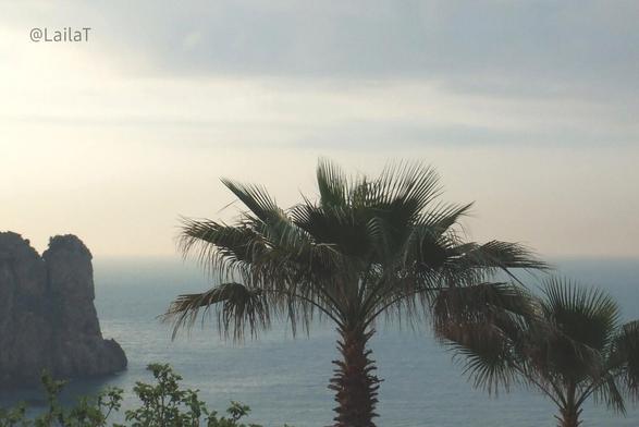 Hinter zwei Palmen und einem Strauch ist das Meer zu sehen, das am Horizont in einen dunstig-hellen Himmel übergeht. Von links ragt ein Felsen ins Wasser hinein. Das Bild wurde aus einer erhöhten Position aufgenommen.