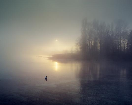 The sun rises over the misty Rhine. A swan swims alone on the calm waters of the river. Here at the end of Lake Constance, where its waters become the Rhine again, lies the small monastery island of Werd.