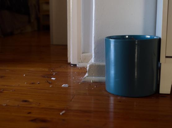 An empty (dead) pot plant in a blue-green pot, on wooden floorboards, with bits of plaster scattered on the floor.