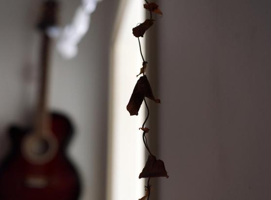 Close up of dead leaves hanging in front of a door frame with an acoustic guitar in the background