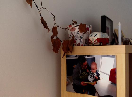 The dead plant on top of the bookshelf. A money box shaped like a VW van. A photo of a mother and a baby.