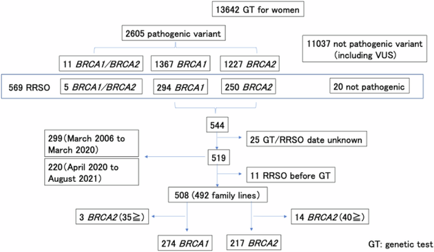The impact of public insurance on RRSO for HBOC in Japan: a nationwide data study