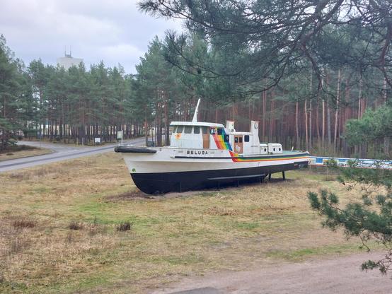 Ein weißes, mit einem Regenbogen bemaltes Schiff liegt aufgebockt auf einer Wiese im Wald. Links führt eine Straße vorbei, rechts dahinter ist eine Reihe von Infotafeln zu sehen.