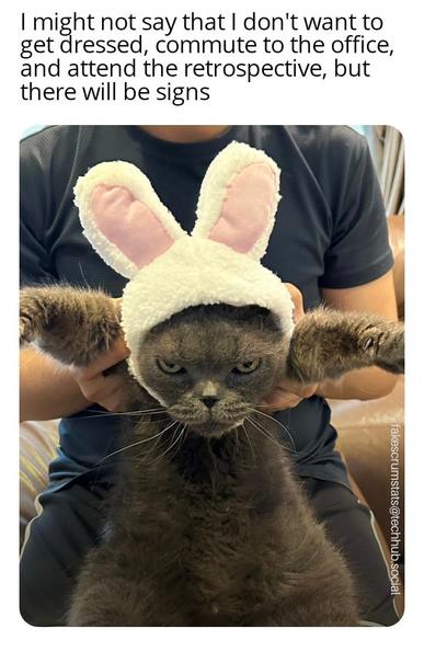 A black cat wearing rabb8t ears being held upright and looking unhappy.

Caption: I might not say that I don't want to get dressed, commute to the office, and attend the retrospective, but there will be signs.