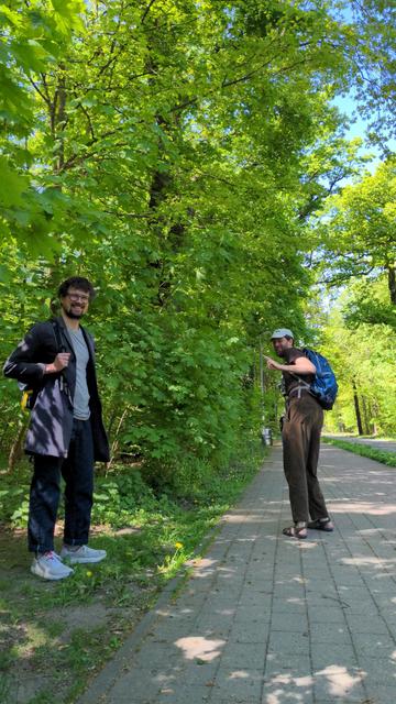 Two people walking down a road next to the forest.