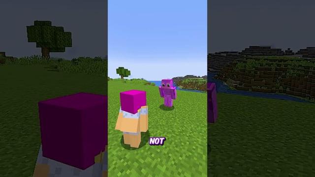 I broke a world record in Minecraft! ☠️ ⛏️ #shorts