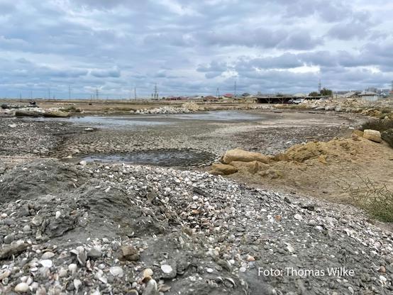 Trocken gefallenes Ufer des Kaspischen Meeres mit exponiertem Seeboden mit Muscheln.