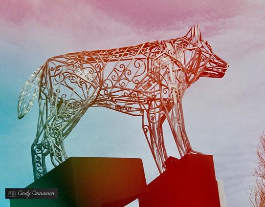 Chien de métal. Photographie par Cindy Cinnamon