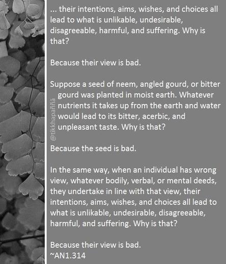 ... their intentions, aims, wishes, and choices all lead to what is unlikable, undesirable, disagreeable, harmful, and suffering. Why is that?
Because their view is bad.
Suppose a seed of neem, angled gourd, or bitter gourd was planted in moist earth. Whatever nutrients it takes up from the earth and water would lead to its bitter, acerbic, and unpleasant taste. Why is that?
Because the seed is bad.
In the same way, when an individual has wrong view, whatever bodily, verbal, or mental deeds, they undertake in line with that view, their intentions, aims, wishes, and choices all lead to what is unlikable, undesirable, disagreeable, harmful, and suffering. Why is that?
Because their view is bad.
~AN1.314
