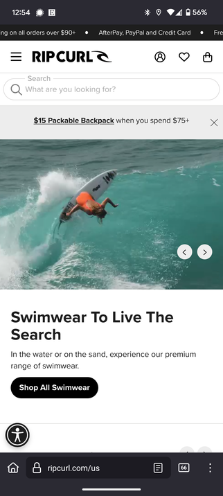 Screenshot of the website ripcurl.com