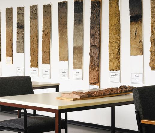 Abgebildet ist ein Ausschnitt eines Raumes mit mehreren Schreibtischen und Tischen davon vor einer weißen Wand, an der mehrere Lackbödenprofile aufgehängt sind. Der Raum befindet sich im Institut für Ökologie im Fachgebietsbereich Bodenkunde.