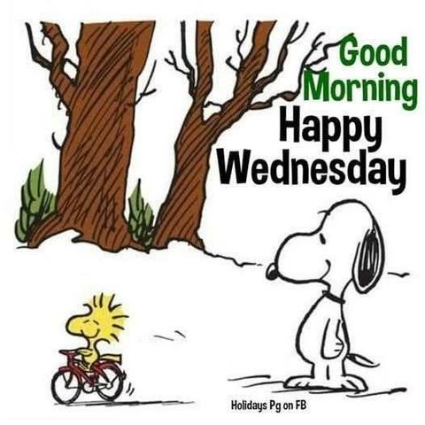 Snoopy schaut Woodstock beim Radfahren zu - hinter ihnen Bäume am Wegrand.
Text: Good Morning, happy Wednesday