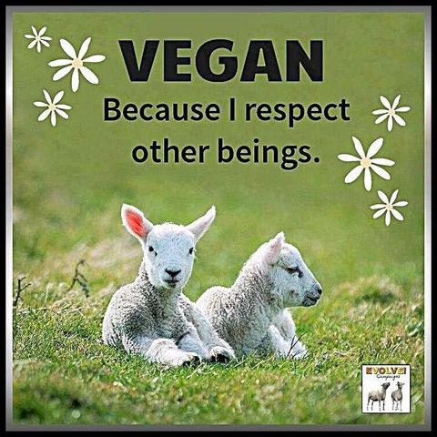 Human beings & Nonhuman beings = both are sentient, feeling individuals. Both are #animals.