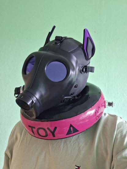 Person wearing purple pup hood with gas mask with purple lens mounted on pup hood and hot pink toy collar around neck
