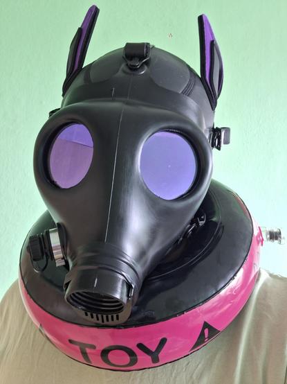 Person wearing purple pup hood with gas mask with purple lens mounted on pup hood and hot pink toy collar around neck
