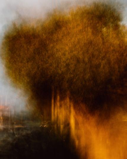 photography by al keddie