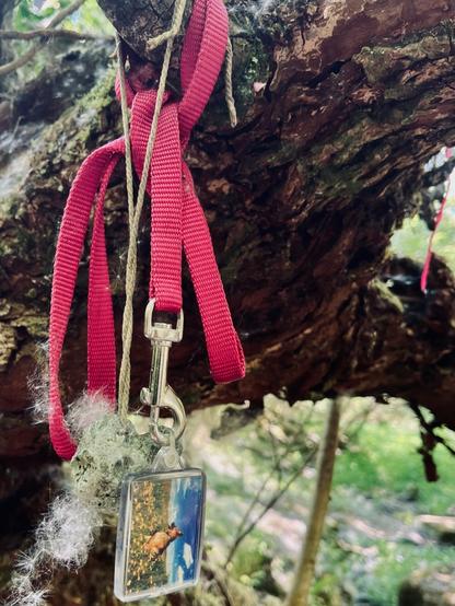 A red leash is tied to a tree branch. Attached to the leash is a photo of a shepherd sitting in a field of yellow flowers under a brilliant blue sky.