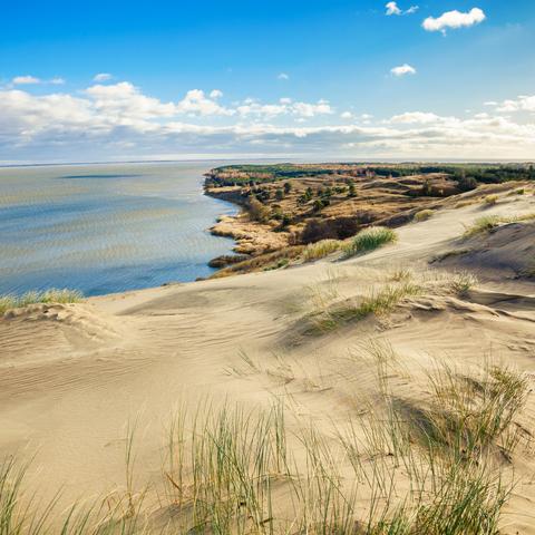 A hilltop view overlooking the sea and rolling sand dunes, capturing the calm and expansive coastal landscape