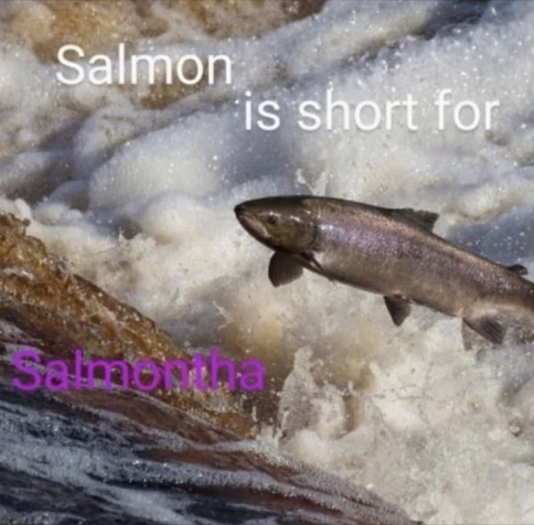 salmon is short for salmontha