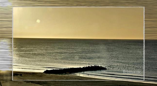 Paysage de soleil couchant sur la mer à Palavas les flots. Le ciel est orangé. Sa couleur est accentuées par une arrivée de sable du Sahara. La mer est grise. Une avancée sombre depuis la plage permet aux oiseaux marins de se réunir pour la nuit.