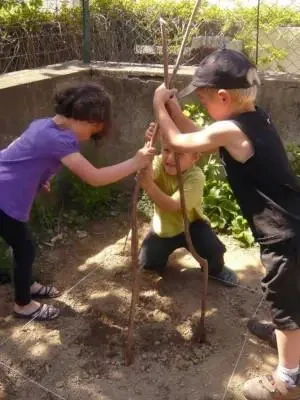 3 enfants fixant des tuteurs pour leur plantation de haricots.