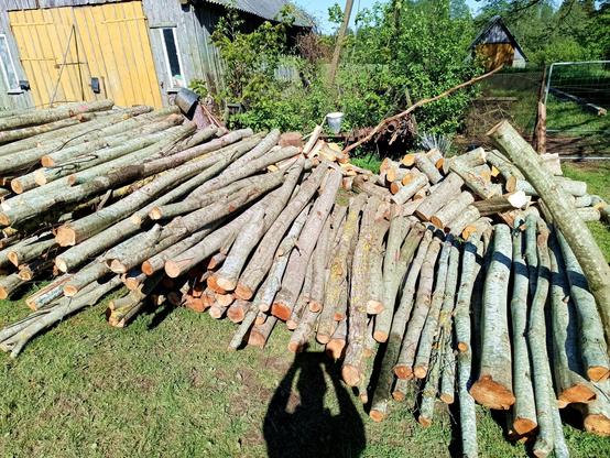 A growing stack of logs in the yard. Behind, a growing pile of cut to length logs, and barely visible a pile of split logs. Also some steel recycling going on. Professional photographer shadow included!