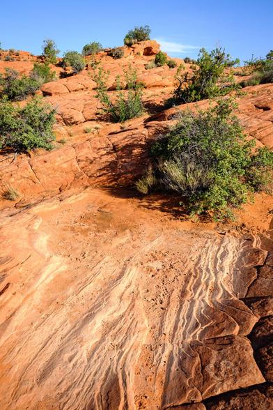 A landscape of red and orange sandstone with visible striations and patterns, scattered green shrubs, and blue sky in the background.