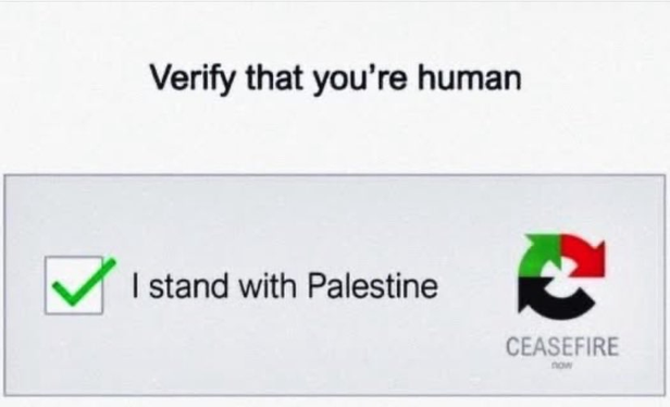 A captcha that says "Verify that you're human" and has a ticked checkbox next to an option "i stand with Palestine".