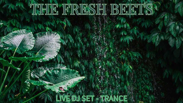 Close up image of rainforest leaves and plants, greenery abound, with visible rainfall.

The top center is titled "The Fresh Beets" and the bottom center is subtitled "Live DJ Set - Trance."