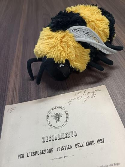 Regolamento per l'esposizione apistica dell'anno 1867 posto accanto alla mia peluchosa Pina l'Apina (è il peluche che sta in ufficio, non il documento a casa!)