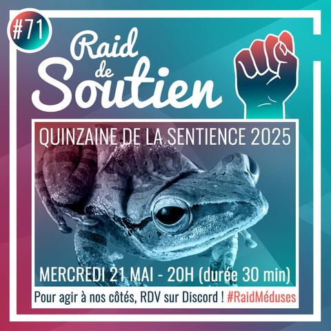 Visuel carré dans les tons de bleu-rose montrant la photo d'une grenouille et donnant les mêmes informations que le post.