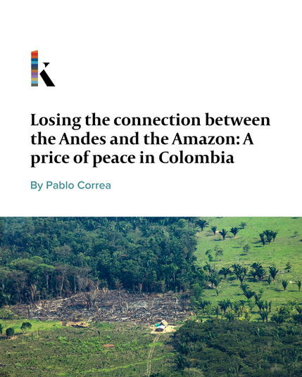 Panoramic image of a fragment of Amazon forest with sectors of tree-covered and deforested land as well as a section with remains of forest that was burned.