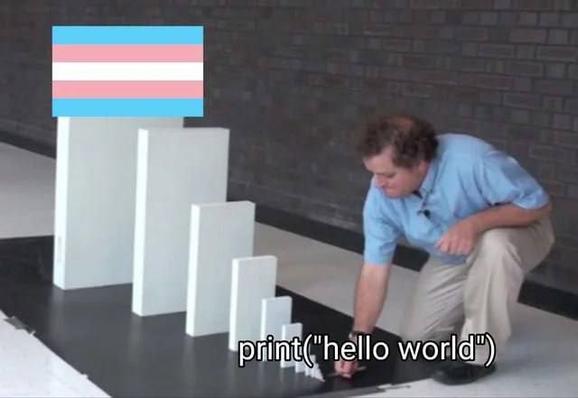 Meme template with a guy pushing a small white slab and starting a chain reaction with increasingly bigger slabs

The smallest is labeled “print(‘hello world’)”
The largest at the end is a trans flag 

This symbolizes the pipeline from starting doing programming to being trans