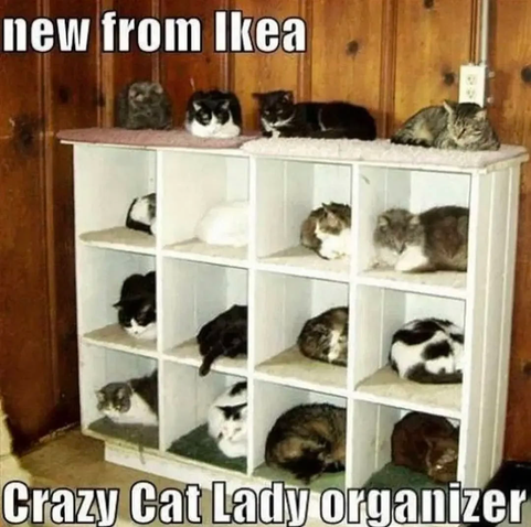 A piece of furniture with a 3x4 array of boxes. Each box has a little carpet on it and a cat sitting or sleeping inside. The top of the furniture also has little carpets and another 4 cats. Caption: "New from Ikea, Crazy Cat Lady organizer".
