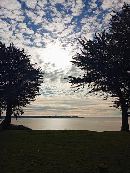 Dos árboles silueteados, con follaje denso y oscuro, enmarcan una vista panorámica de un cuerpo de agua tranquilo, la bahía de Ancud, bajo un cielo parcialmente nublado. El sol brilla tenuemente detrás de las nubes, creando un efecto luminoso sobre el agua.  En la distancia se aprecia una línea de costa.  El primer plano muestra un área cubierta de hierba corta y oscura.