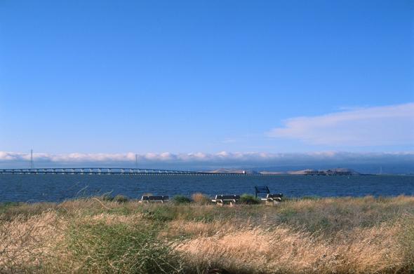 3 concrete benches are mid field past some coastal brush, overlooking San Francisco Bay slight south of both the Dumbarton Road and Rail Bridge. In the far background lies the Coyote Hills, a layer of contrasting clouds and blue skies.
