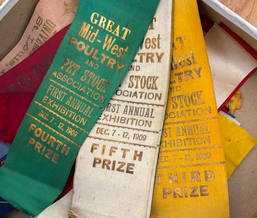 Prize ribbons