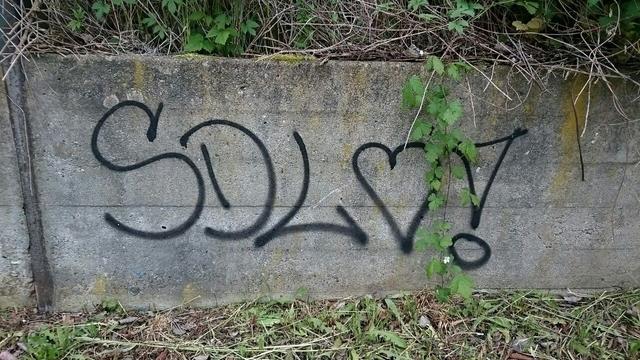 Concrete wall with bushes and shrubs above, grass below/in front. Black graffiti sprayed on the wall »SDL, [heart] !«