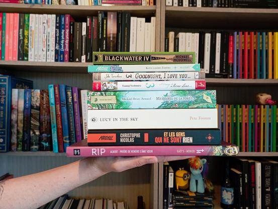 ne photo des livres cités empilés les uns sur les autres, devant une bibliothèque.