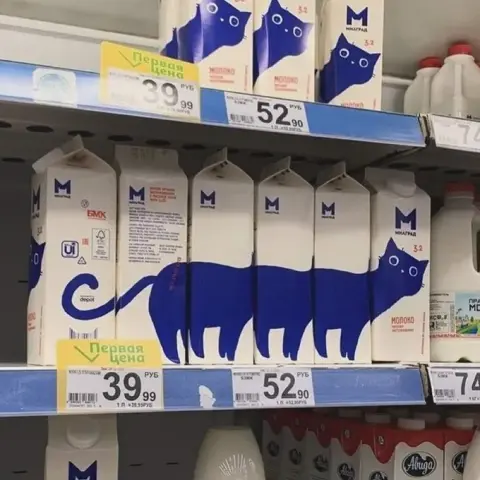 elongated cat formed from smaller cats on the milk cartons