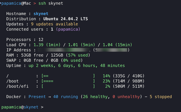 Screenshot of a SSH connection on a Linux server with infos (hostname, distribution, hardware...)